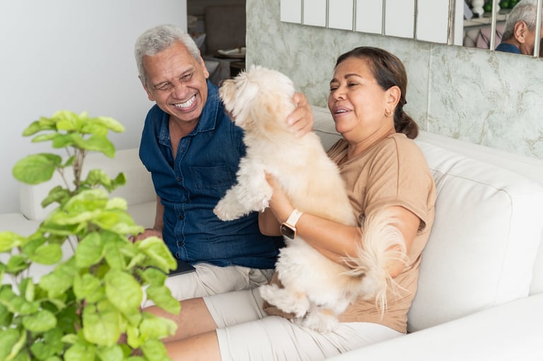 Senior couple laughing cuddling their small dog on the couch at home